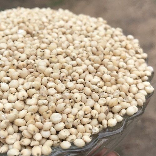 Whole Dried Machine Cleaned Rich In Soluble Fiber White Sorghum Millet