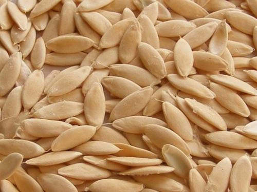 Common Light Yellow Natural And Pure Dried Raw Cucumber Seeds For Agriculture Uses