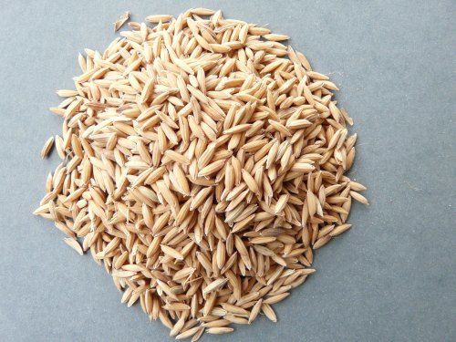 Raw Paddy Rice Without Added Preservatives With 1 Year Shelf Life, 100% Purity