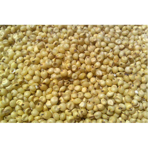 100% Natural Sorghum Organic Millet, Good Source Of Fiber And Protein