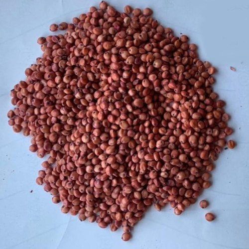 100% Organic And Natural Red Lal Jowar Sorghum Seed, Rich In Dietary Fiber