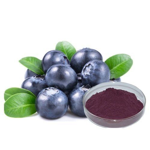 Acai Berry Extract Food Supplement Powder 