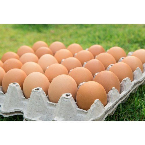 Anti-Oxidants And Nutrition Enriched Pure Healthy Brown Poultry Eggs
