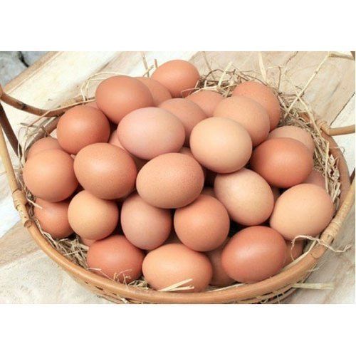 Highly Nutrition Enriched Pure Healthy And Natural Brown Poultry Eggs