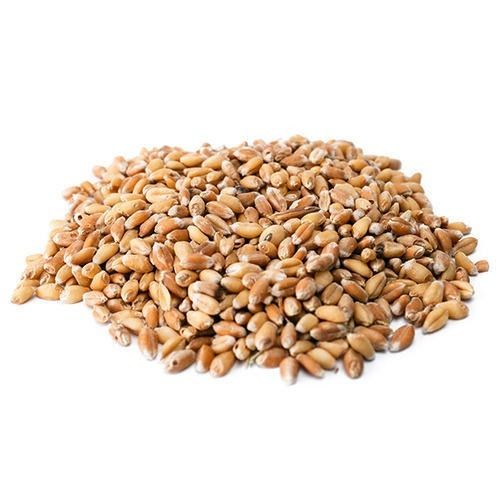 No Artificial Flavour And No Preservatives Golden Color Wheat Grain Purity For Cooking