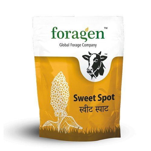 Organic Foragen Fodder Sorghum Seeds, Good Source Of Protein And Fiber