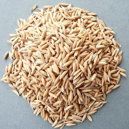  फाइबर का उच्च स्रोत और प्राकृतिक ऑर्गेनिक ड्राइड गोल्डन पैडी मध्यम अनाज वाला चावल