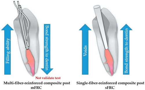 VANSAN DENTAL KIT