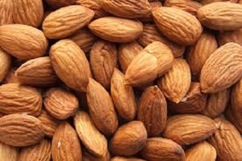 100% Organic And Fresh Dietary Fiber Premium Quality Brown Almond Nut