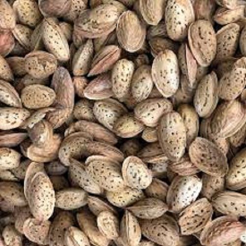 100% Pure And Organic A Grade Almond Nuts With Good Quality Broken (%): 2%