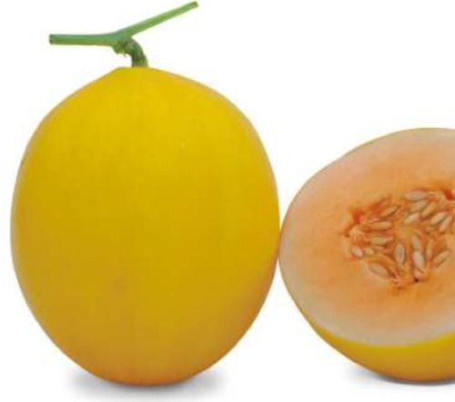 A-grade Nutrition Enriched 100% Fresh And Organic Sweet Yellow Muskmelon