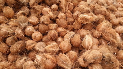 Longer Storage Duration A Grade Brown Color Fresh Whole Matured Coconut