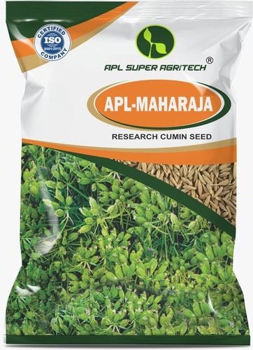 Wholesale Price Dried and Cleaned APL Maharaja Research Cumin Seeds