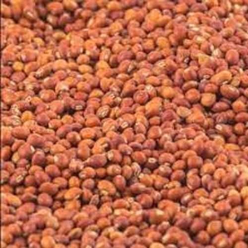 A Grade Pure Red Pigeon Pea For Human And Animal Diets