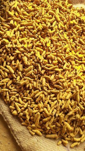 Export Quality 50 Kg Yellow Color Dried Turmeric Finger For Spices