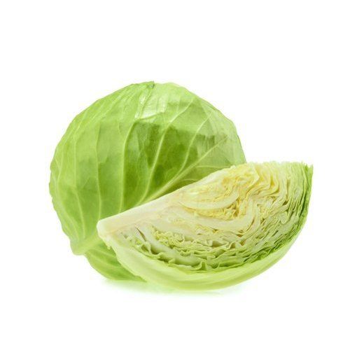 Fresh and Natural Cabbage With 3 Days Shelf Life, Rich in Vitamin B6 and Vitamin K 