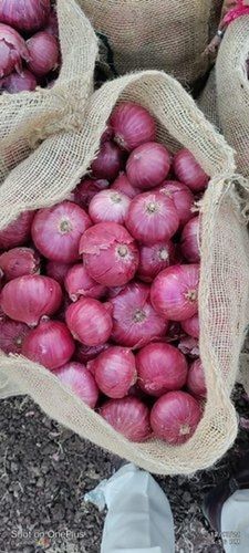 A Grade Maharashtra Fresh Red Onion, Gunny Bag, Onion Size Available: Medium