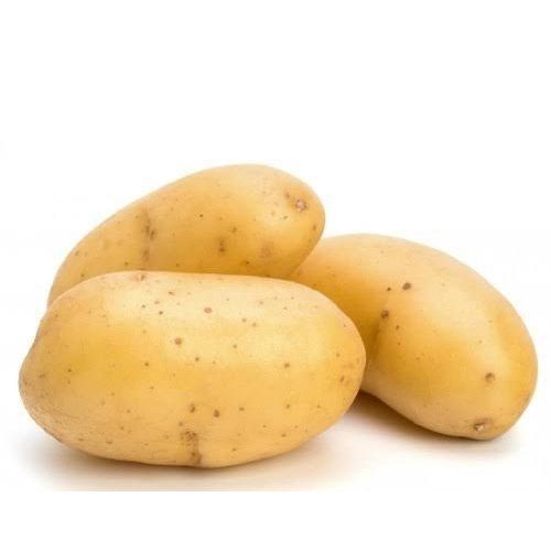 Natural Fresh Potato With 3 Days Shelf Life and Rich In Fiber, Potassium