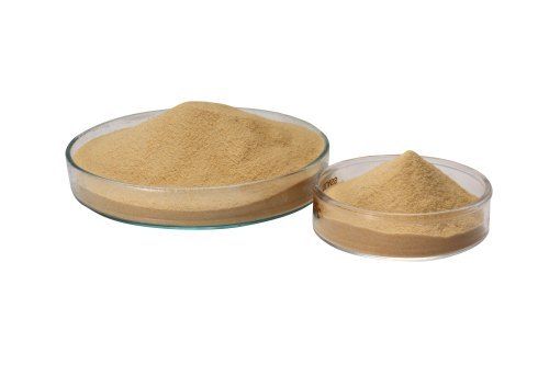 Free from Gluten, Soy, Dairy and Sugar Alpha Amylase Enzyme Protein Powder