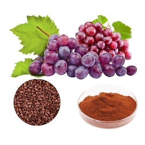 Grape Seed Dry Extract 95%