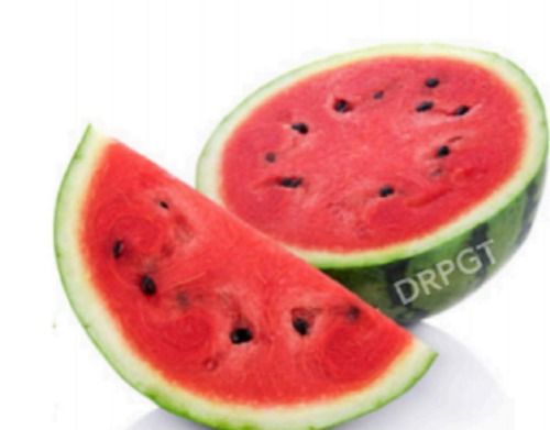 Green Organically Grown Fresh Juicy Watermelon With 3 Days Shelf Life And Rich In Vitamins A And C