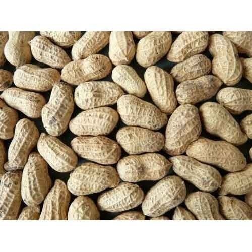 Common Natural Taste, Sorted, Crunchy, Pure And Healthy Brown Groundnut, Perfect For Snack Time