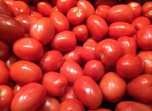 Organic Red Color Tomato With 2 Days Shelf Life Aand Rich In Vitamin C And Potassium