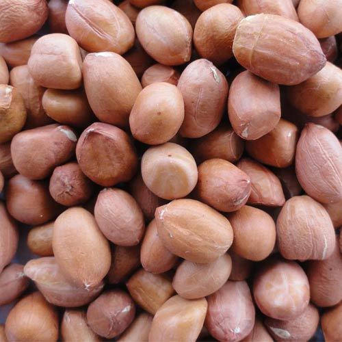 Rich in Proteins, Essential Vitamins, Minerals and Antioxidants Brown Colour Healthy Groundnut 