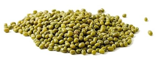 Common 100% Pure Raw And Organic Round Shape Green Moong Dal For Cooking Uses