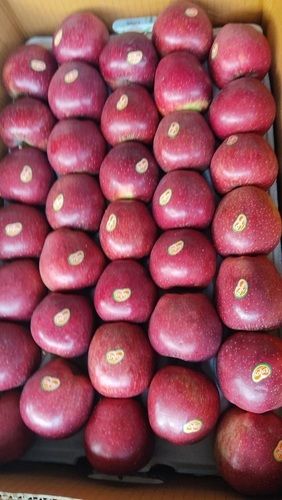 Common Richness Iron, Magnesium And Manganese 100% Natural Fresh Red Apples