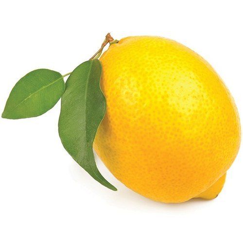 100 Percent Fresh, Pure And Healthy A Grade Organic Lemon Big Size With Sour Taste