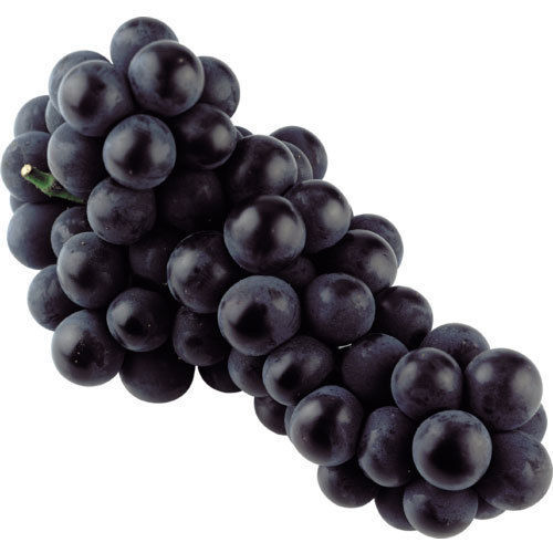 Common 100 Percent Nature, Fresh And Healthy Black Grapes With Fiber Or Vitamins A