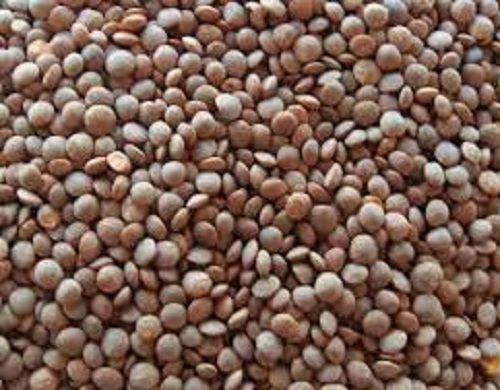 99% Pure Highly Nutritent Enriched Fresh And Organic Brown Masoor Dal