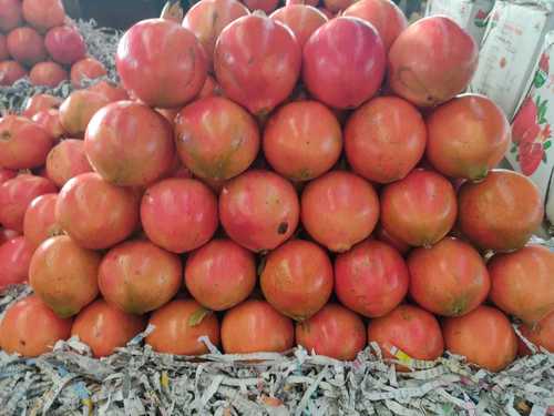 A Grade Fresh Vegetables, Gunny Bag at best price in New Delhi