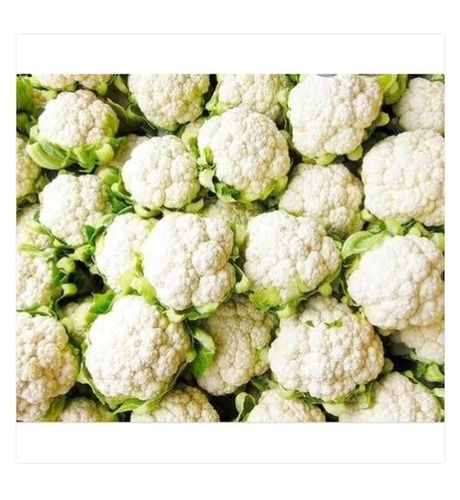 Pesticide Free, No Artificial Flavour White Color A Grade Fresh Cauliflower Vegetable Moisture (%): 2%