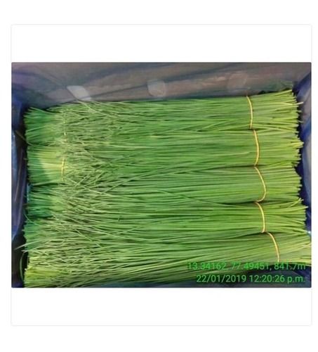 100% Natural And Pure A Grade Organic Green Drumstick Vegetable With 5 Kg Pack
