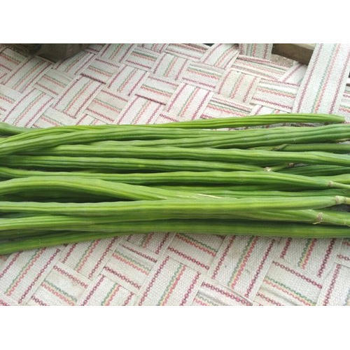 100 Percent Fresh And Pure Long Shape Green Raw Drumstick With Vitamin Or Fiber