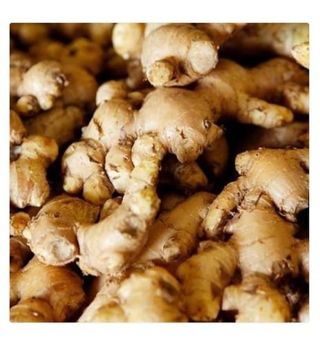 No Artificial Flavour And No Preservatives Brown Color Natural And Organic Ginger