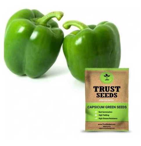Trust Seeds Capsicum Green Seeds For Gardener, Farmer Or Cook