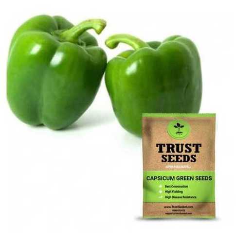 Trust Seeds Capsicum Green Seeds For Gardener, Farmer Or Cook Admixture (%): 21%