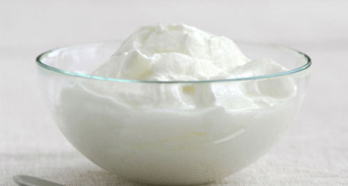 100% Purity And Tasty Freshly Prepared High Protein Homemade White Curd