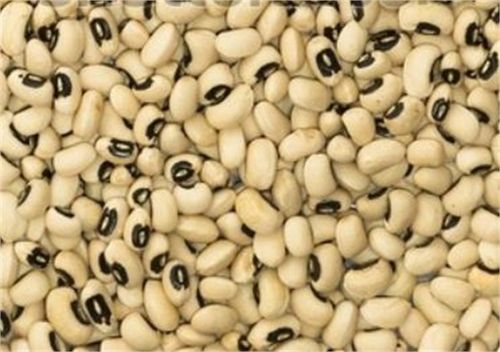 Cowpea And Black Eye Bean (vigna Beans) Grade: Grade A at Best Price in ...