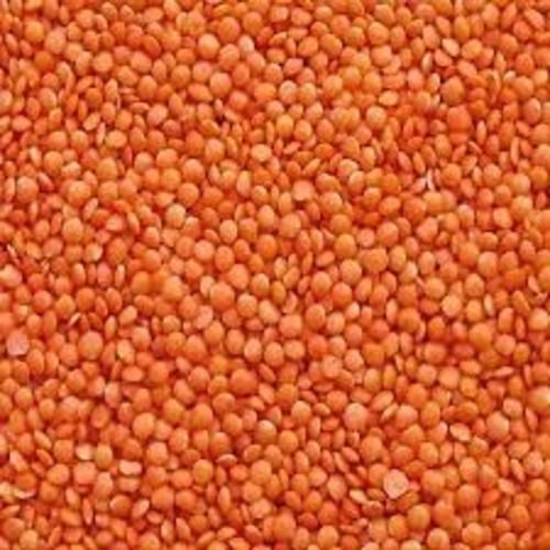 Organic And Fresh Vegetarian Masoor Dal With High Nutritious Value Broken (%): 5%