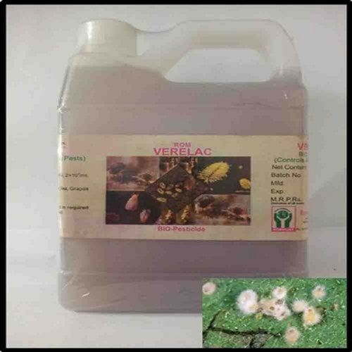 Rom Verelac Verticillium Lecanii Bio Pesticide Application: Pest Control