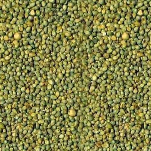 100% Purity Green Colour And Dry Healthy Millet For Cattle Feed, Poultry Feed