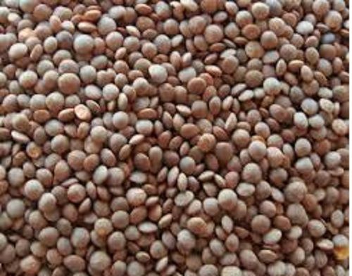99% Pure Highly Nutrient Enriched Fresh And Organic Brown Masoor Dal