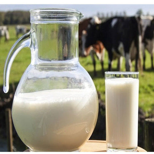 Dairy Product Raw Cow Milk Of Nutrient Rich Tastiness And Freshness