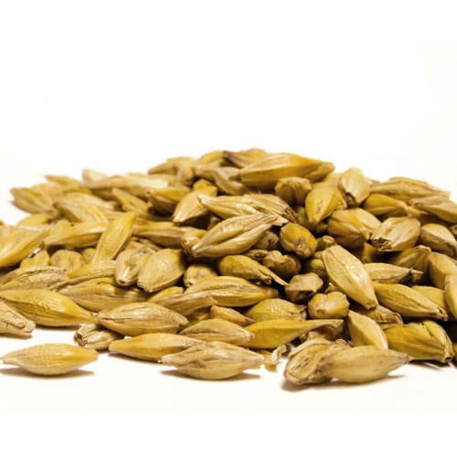 Easy To Digest, Delicious Taste, Natural And Organic Barley Malt For Cooking
