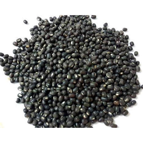 Natural Taste 100% Pure Black Colour And Healthy Urad Grains For Cooking Crop Year: 4 Months