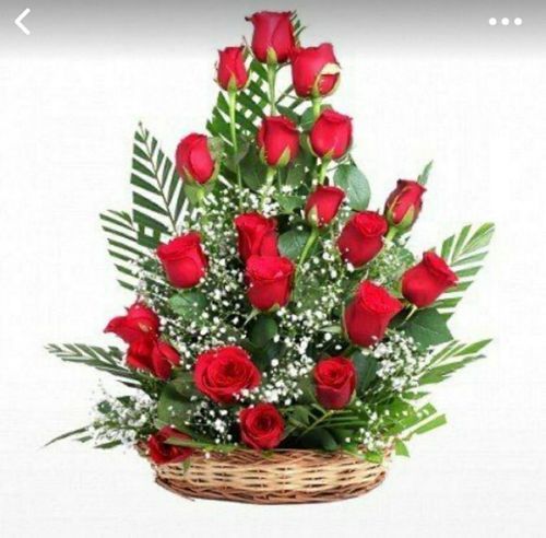 Plastic 25 Red Rose Bouquet Suitable For Any Function Home And Office 